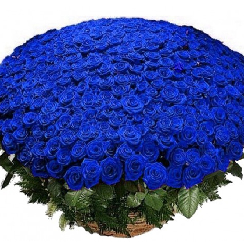 Корзина из 501 синей розы